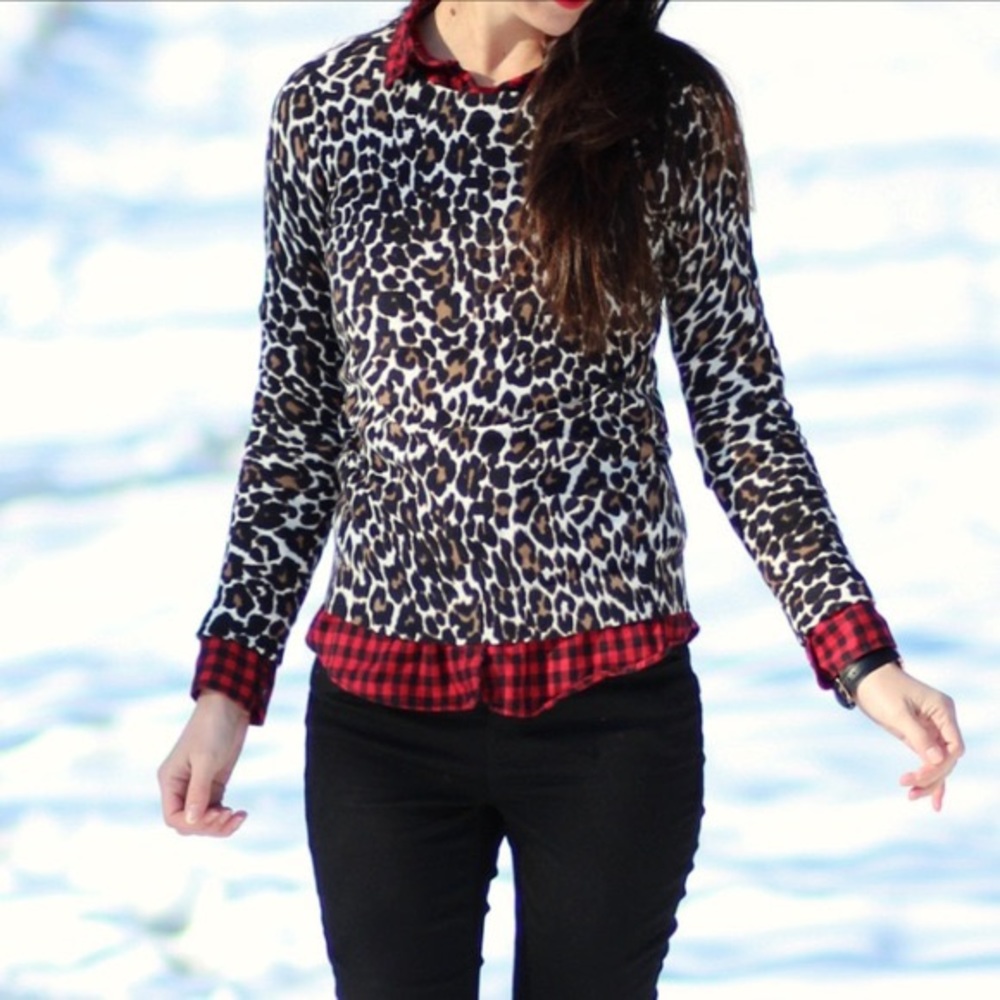 Jcrew Leopard Teddie Sweater